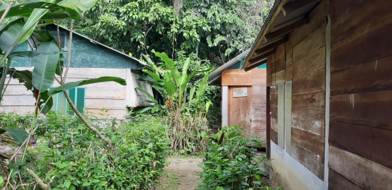 ホテル Centro Ecoturistico Ya'Ajche Lacanjá エクステリア 写真